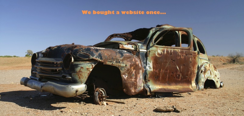 We bought a website once